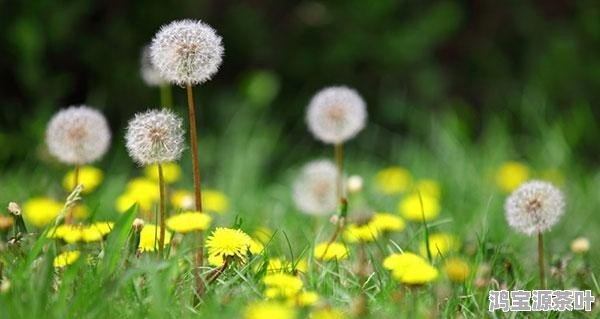 天津疫情通报（天津疫情消息实时更新今天）