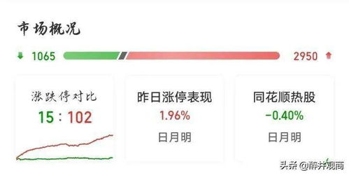 疫情期间最佳股票,探索与洞察之道 疫情期间最佳股票,探索与洞察之道
