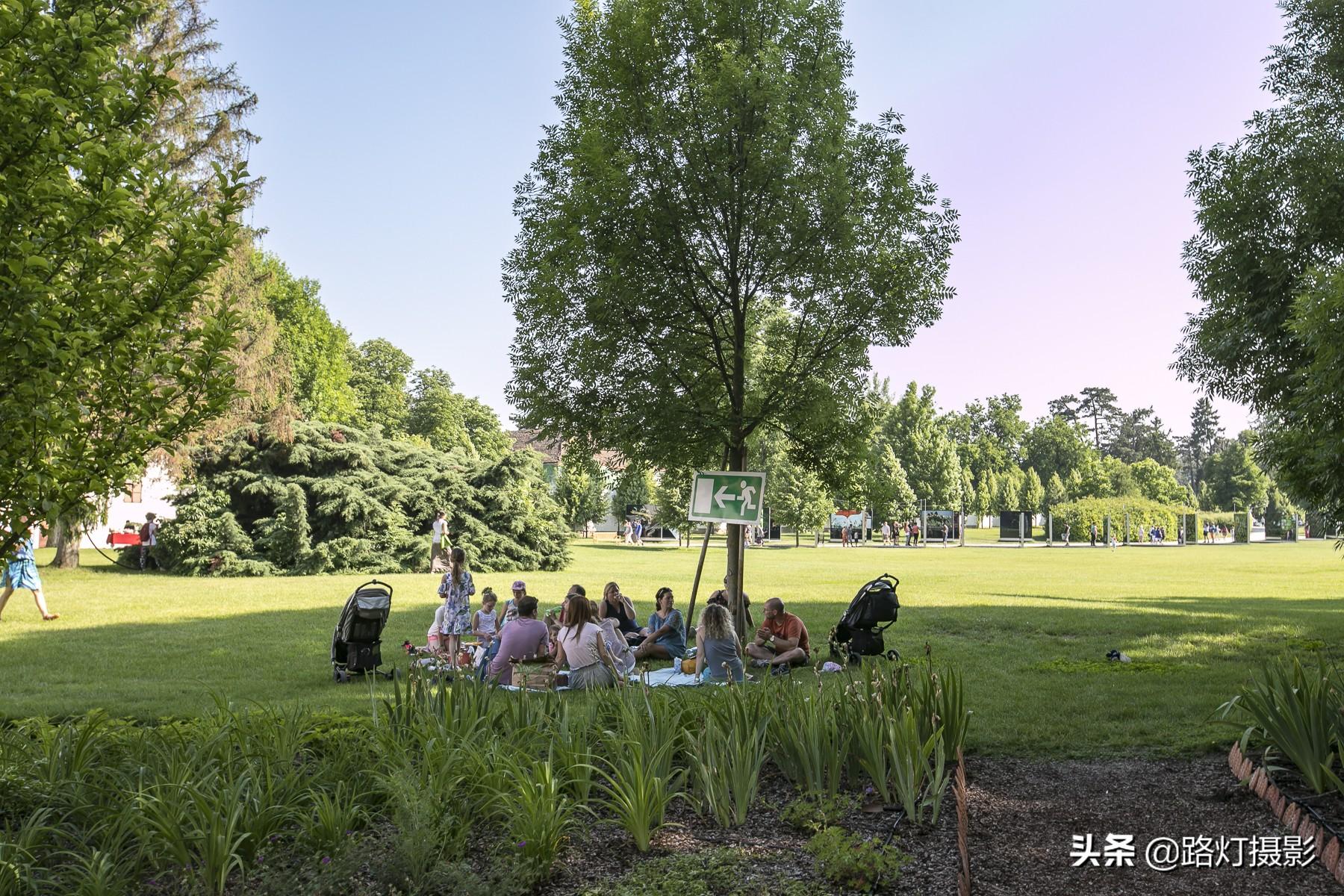 关于疫情起源与早期发展的研究,以2019年疫情开始的时间为视角 关于疫情起源与早期发展的研究,以2019年疫情开始的时间为视角