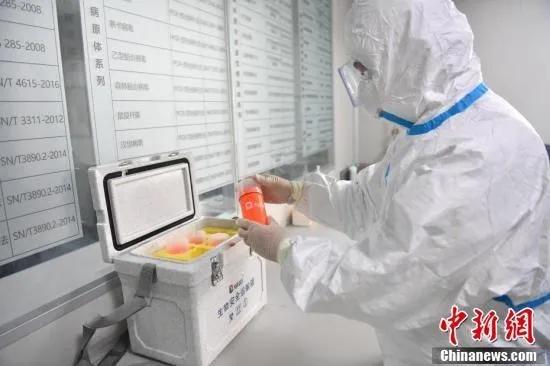 中国疫情的挑战与应对策略 中国疫情的挑战与应对策略