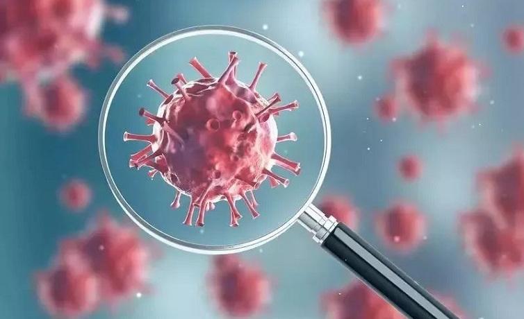 疫情爆发始末揭秘,探寻病毒起源与扩散之路 疫情爆发始末揭秘,探寻病毒起源与扩散之路