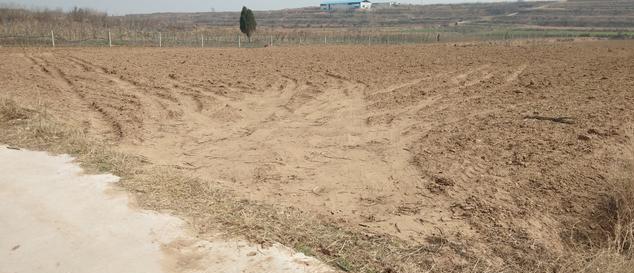 三年疫情给地球带来的悲剧,死亡人数沉重打击 三年疫情给地球带来的悲剧,死亡人数沉重打击