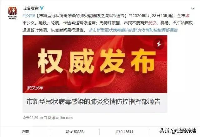 疫情下中国封城,挑战与应对策略 疫情下中国封城,挑战与应对策略