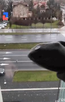 疫情封城回顾与反思,反思与启示 疫情封城回顾与反思,反思与启示