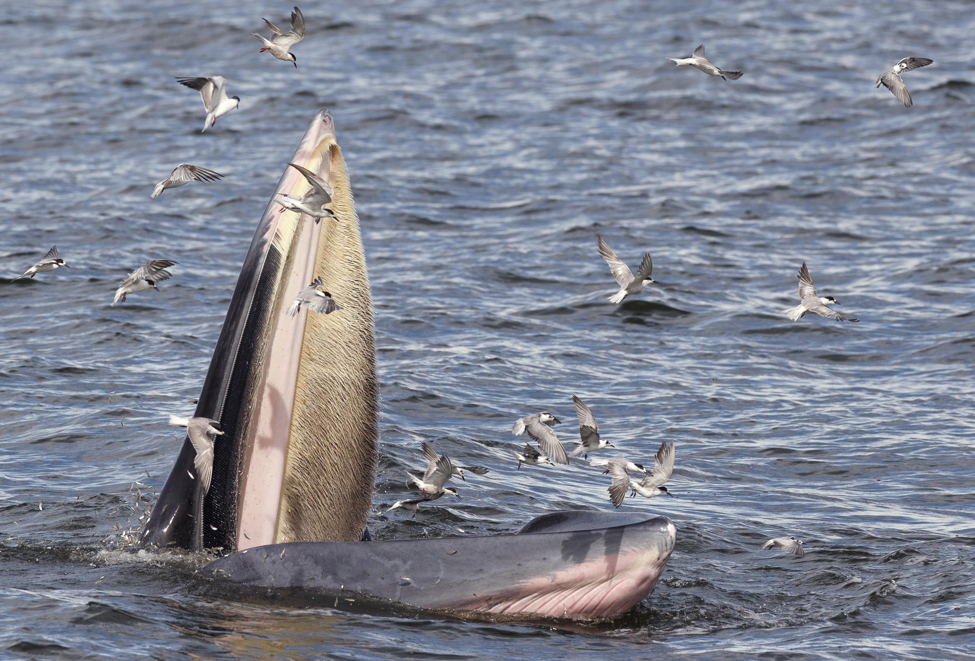 中国新冠疫情开始时间标题，中国新冠疫情起源时间探讨