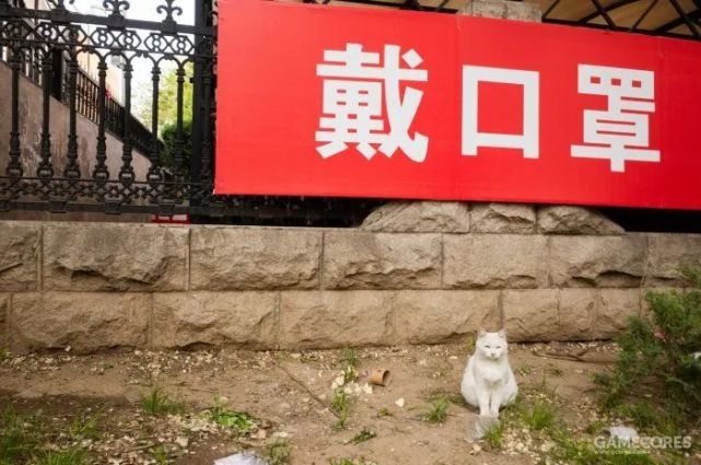 回望2020,北京疫情的时间记忆 回望2020,北京疫情的时间记忆