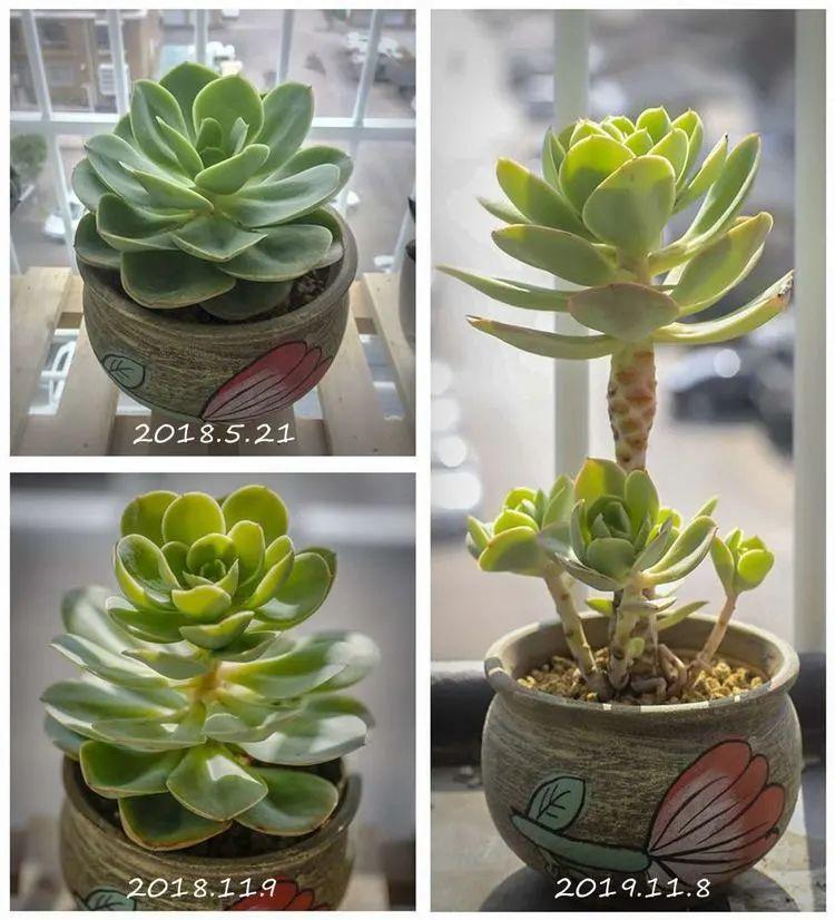 疫情期间家庭生活的独特体验与感悟分享 疫情期间家庭生活的独特体验与感悟分享