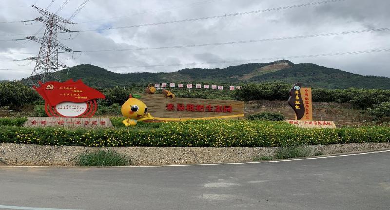 疫情解封后的新篇章,希望、挑战与未来展望 疫情解封后的新篇章,希望、挑战与未来展望