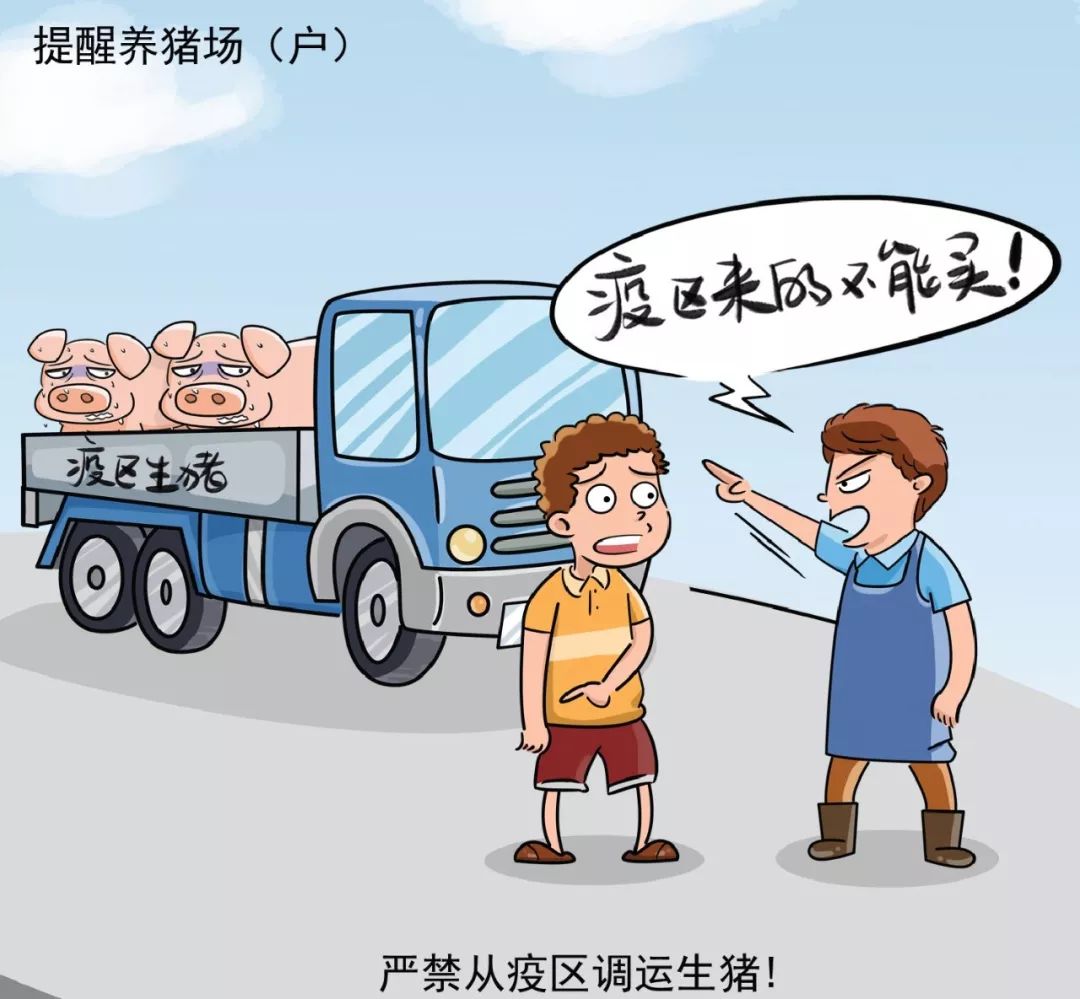 全球疫情悲剧,人类生命损失与反思 全球疫情悲剧,人类生命损失与反思