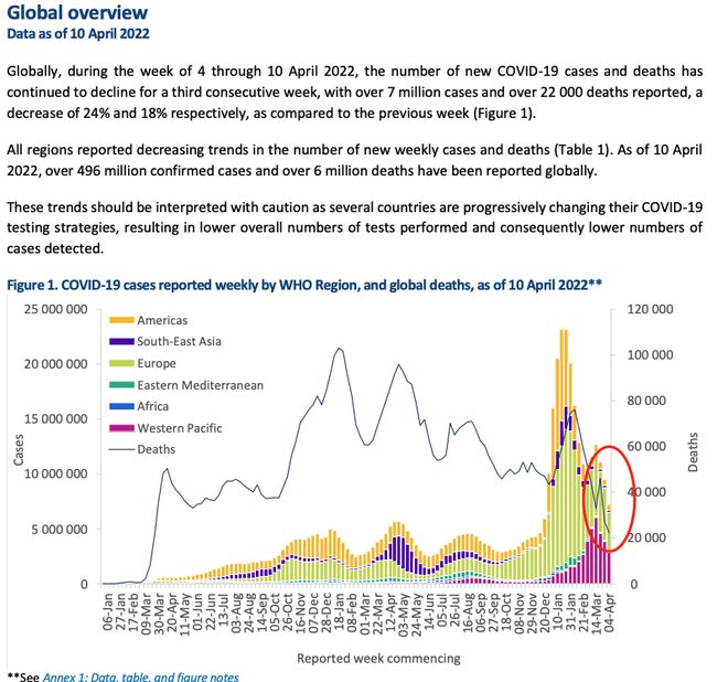 全球疫情死亡人数统计及其深远影响