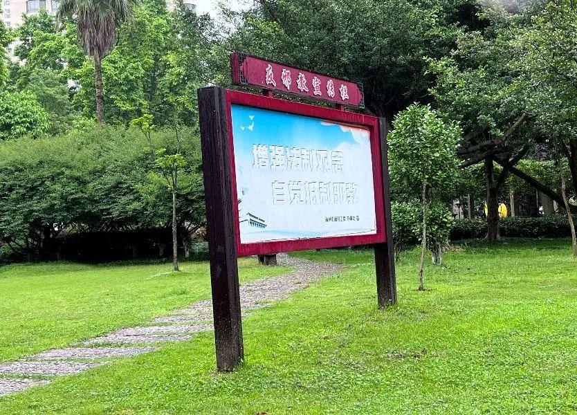 疫情严重十大城市面临的挑战与应对策略