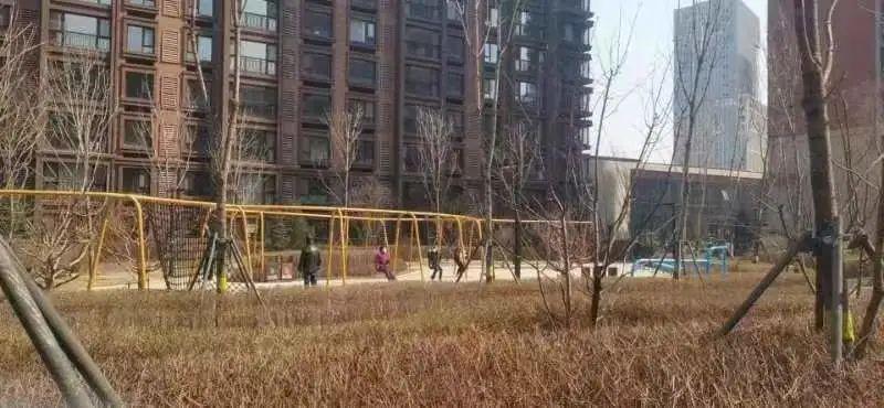 疫情解封的期待与探讨，真正的解放何时到来？