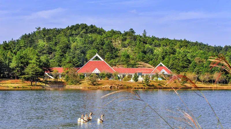 疫情两年，挑战与希望交织的历程