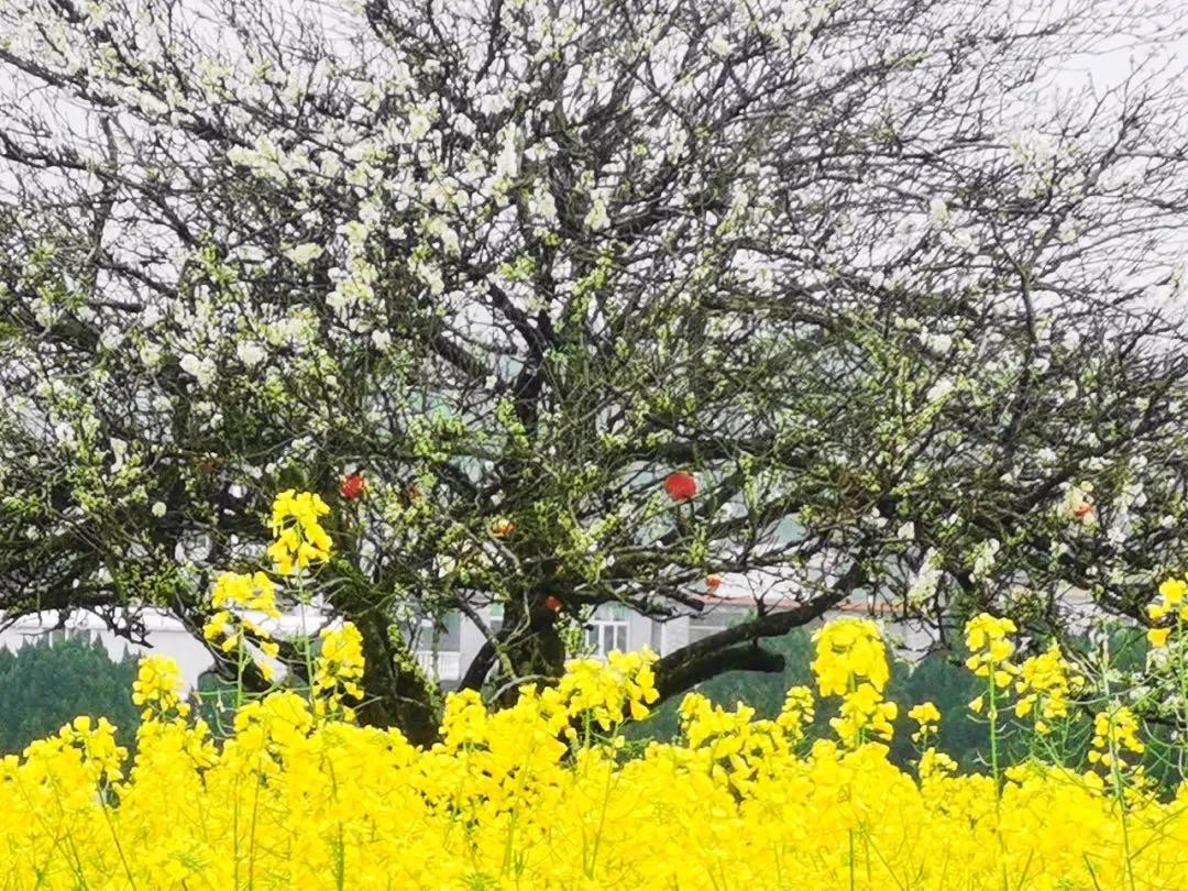 疫情两年,挑战与希望交织的历程 疫情两年,挑战与希望交织的历程