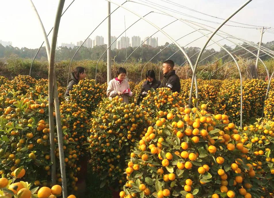 三年疫情简明解析 三年疫情简明解析