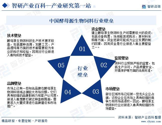 疫情解封,回顾历程,展望未来发展 疫情解封,回顾历程,展望未来发展