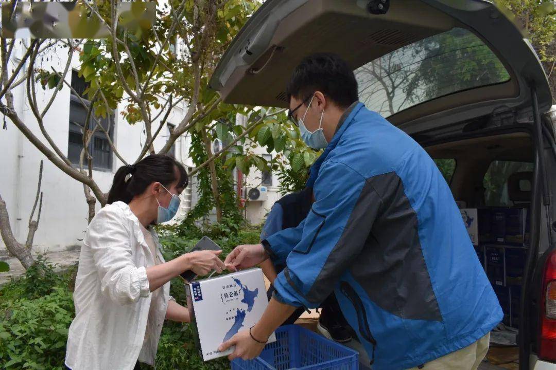 中国疫情最新动态，全面应对与积极进展的成果展示