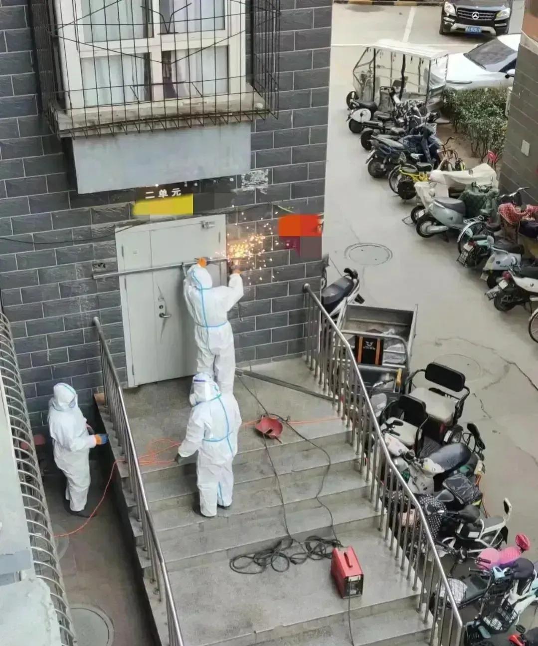 疫情全面放开最新动态解读，最新消息全面梳理与深度分析