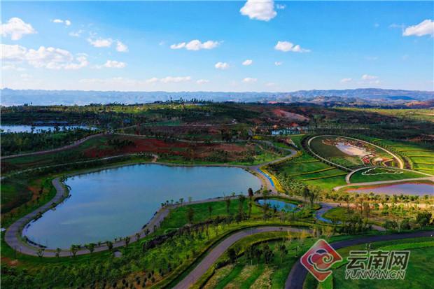 疫情结束时间预测与未来之路探寻 疫情结束时间预测与未来之路探寻