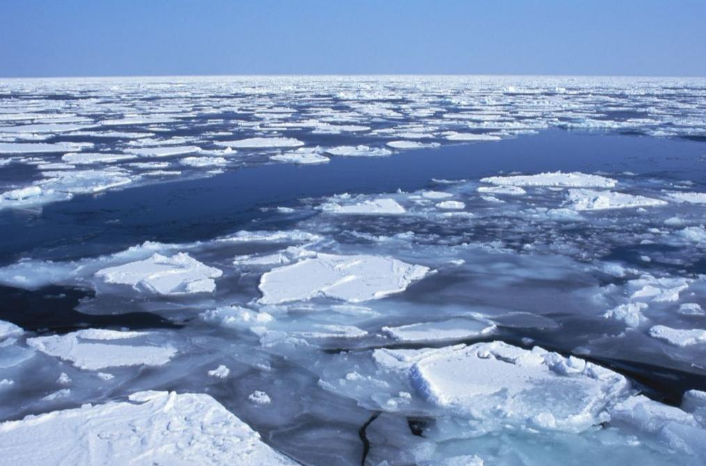 疫情爆发时间的深度探究