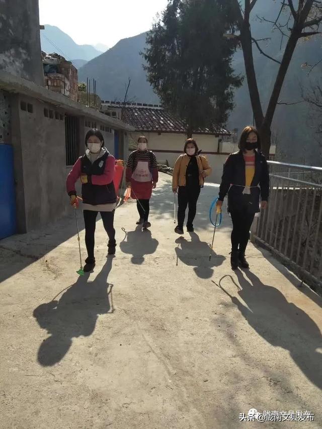 山西省疫情政策通知与甘肃省最新防疫动态解析探讨