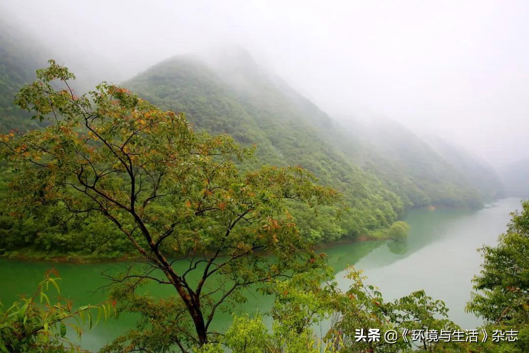 山西省疫情防控办发布新要求,筑牢疫情防控屏障,保障群众健康安全 山西省疫情防控办发布新要求,筑牢疫情防控屏障,保障群众健康安全