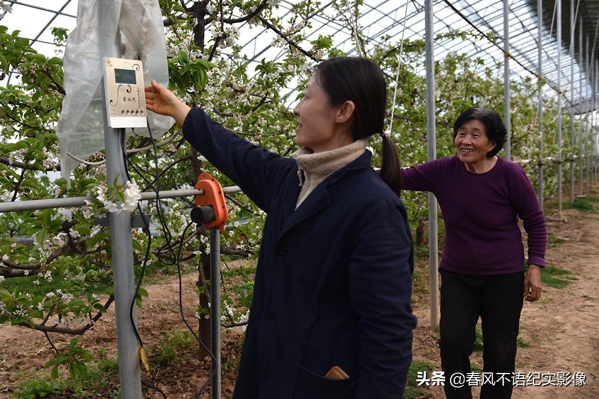 山西省防疫情况全面解析