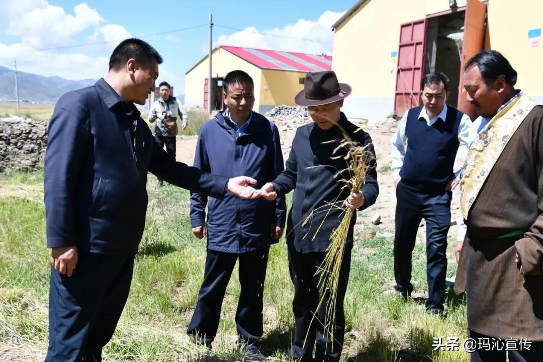 青海省最新省情概览 青海省最新省情概览