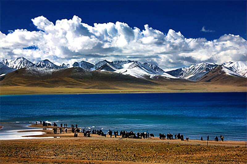 西藏自治区概况简介 西藏自治区概况简介