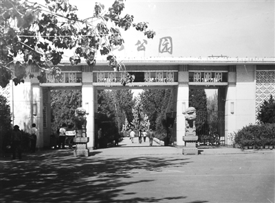 辅助神器“丽水茶苑麻将输赢系统”(详细透视教程)-知乎