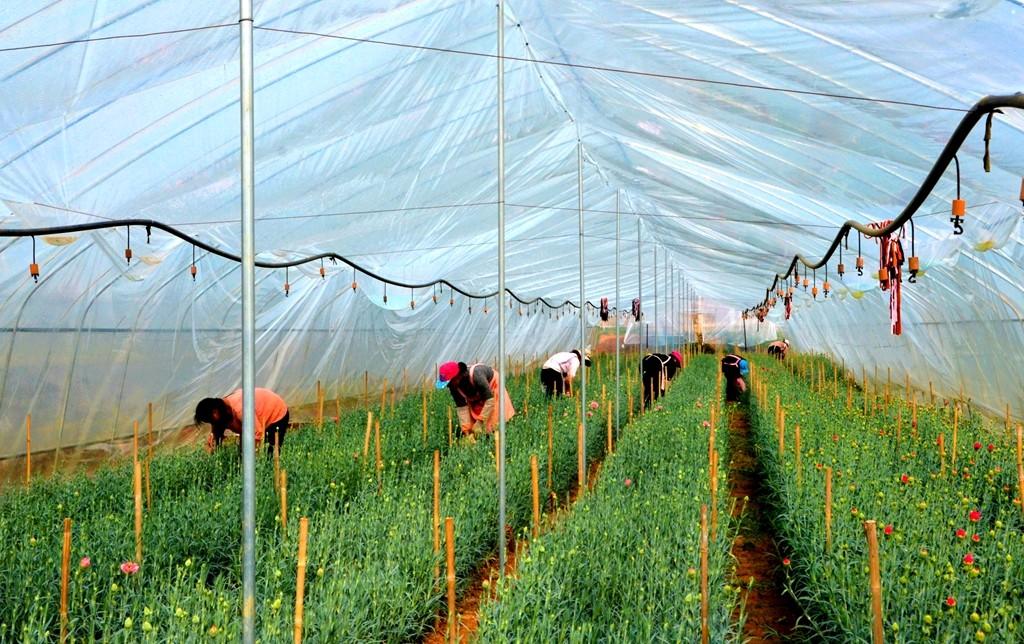 青海西宁最新疫情动态，全面防控，保卫家园安宁安全