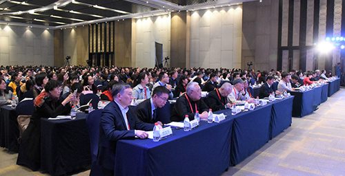 天津市院士，学术巅峰与地域荣耀的交汇点