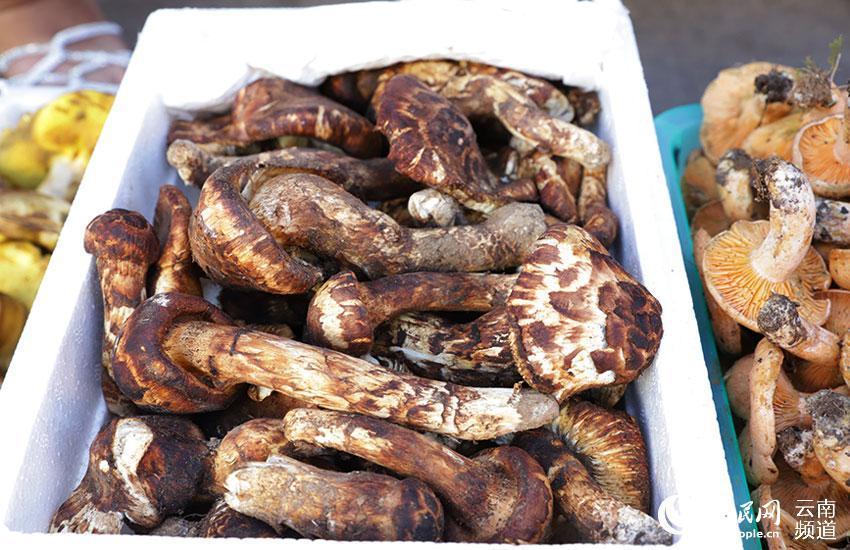 云南省市场监管电话,守护消费者权益的桥梁纽带,全天候为民服务 云南省市场监管电话,守护消费者权益的桥梁纽带,全天候为民服务