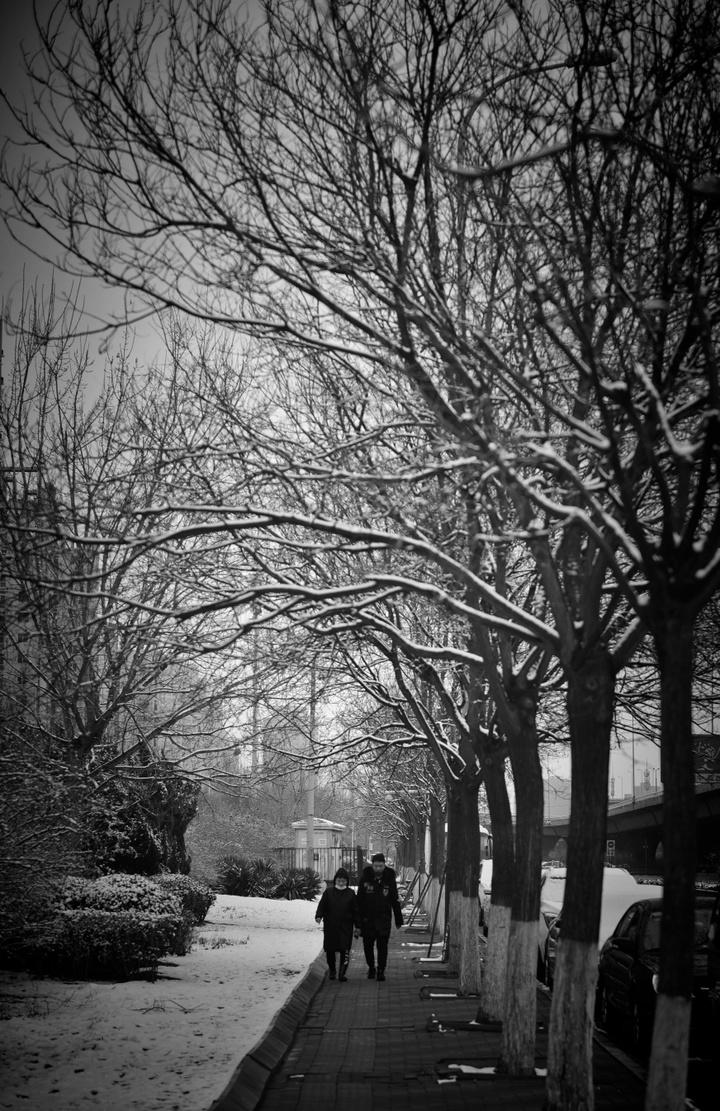 天津疫情封控时间表，回顾与反思的历程