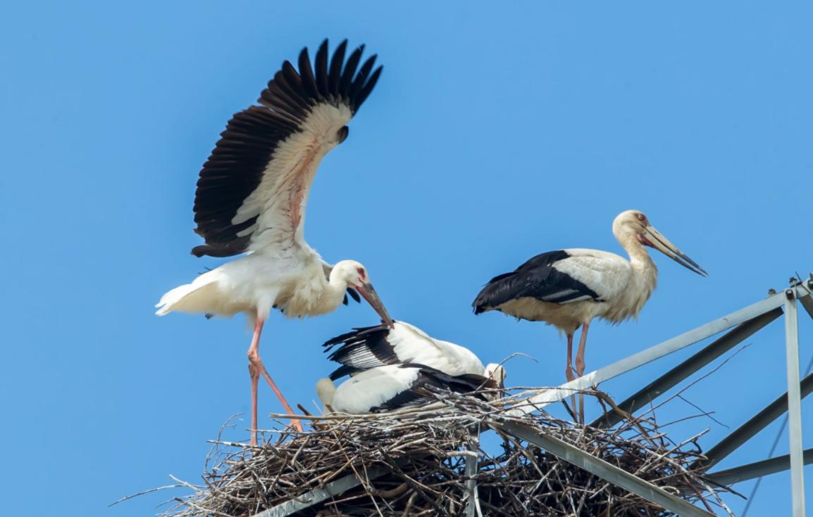 天津每日死亡人数背后的数据引人深思
