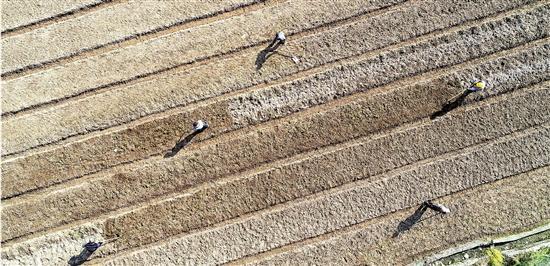 浙江省疫情防控最新动态通告与措施深度解析