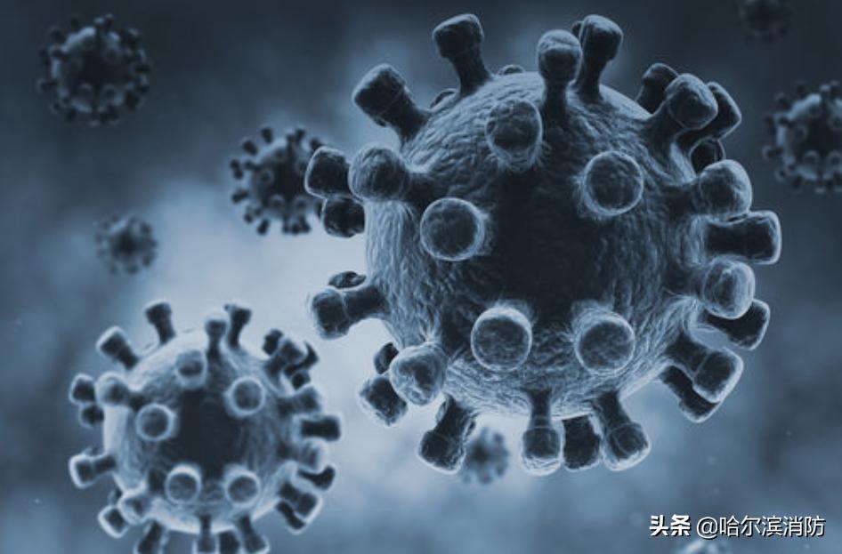 黑龙江省哈尔滨市疫情现状分析与应对措施