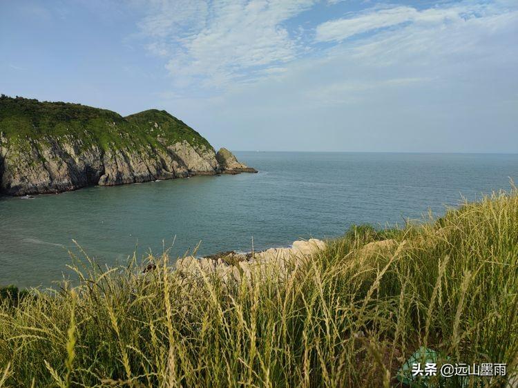 浙江省疫情防控官网，数字防线筑牢，共筑健康屏障防线