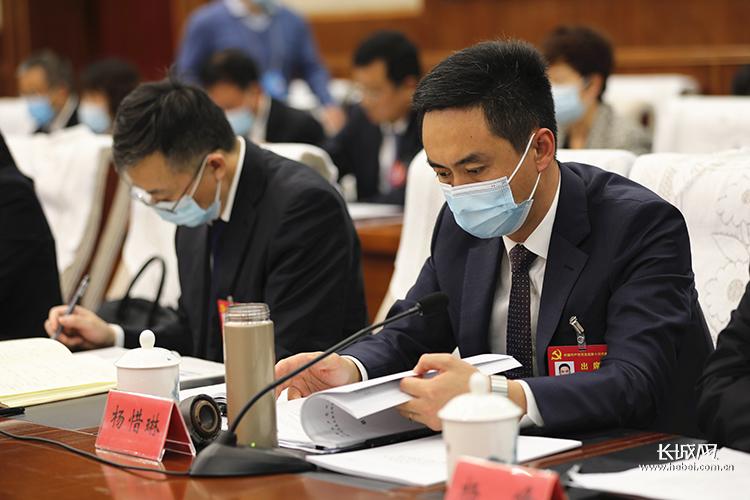 浙江省石家庄，城市发展的数字化探索及未来展望