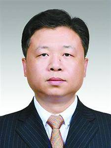 上海市驻青海省办事处主任的角色与使命解析