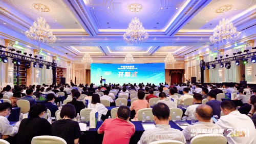 上海市卫健委各处处长，城市健康事业发展的核心驱动力