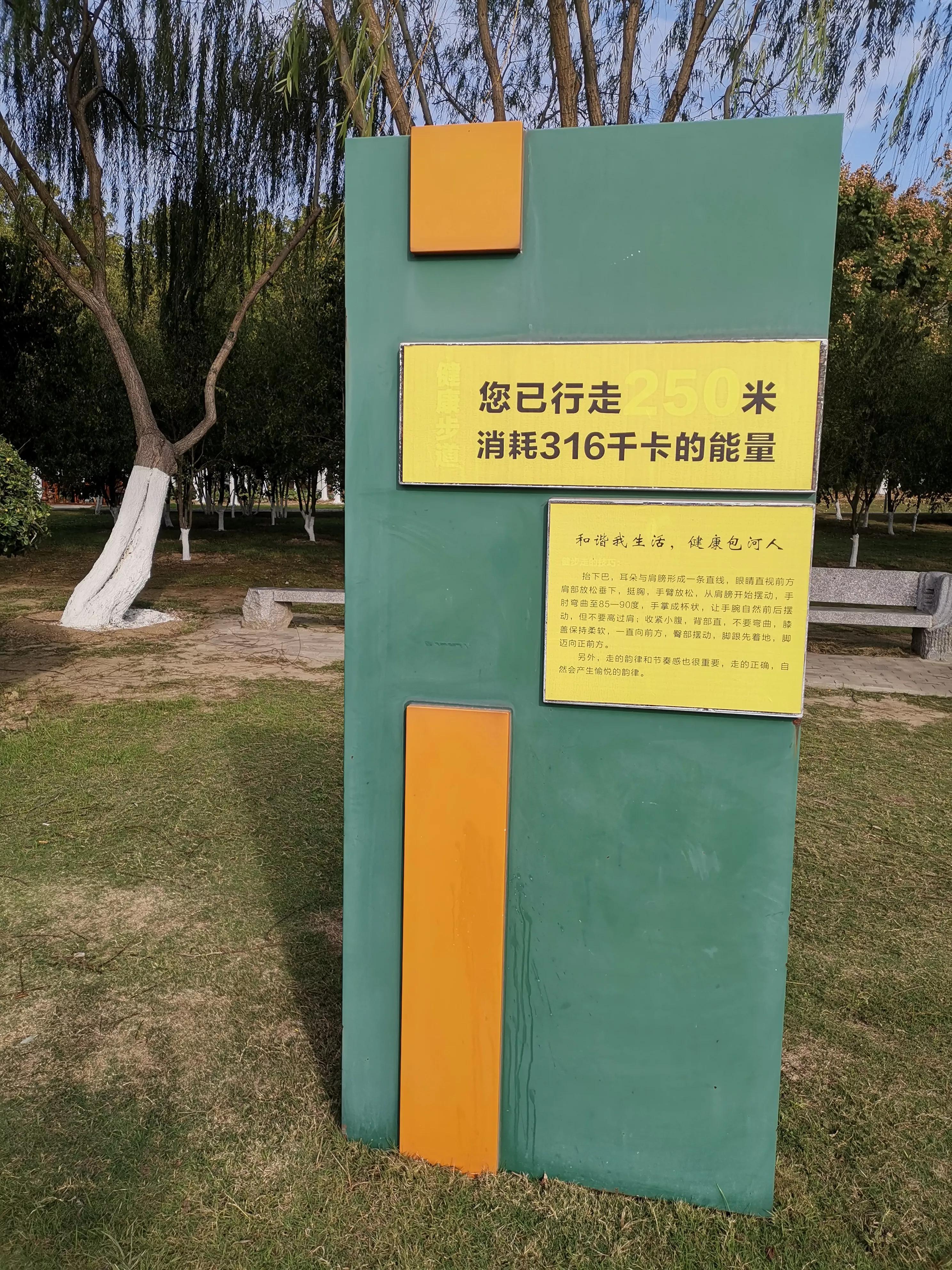 合肥市疫情下的城市防护与应对策略