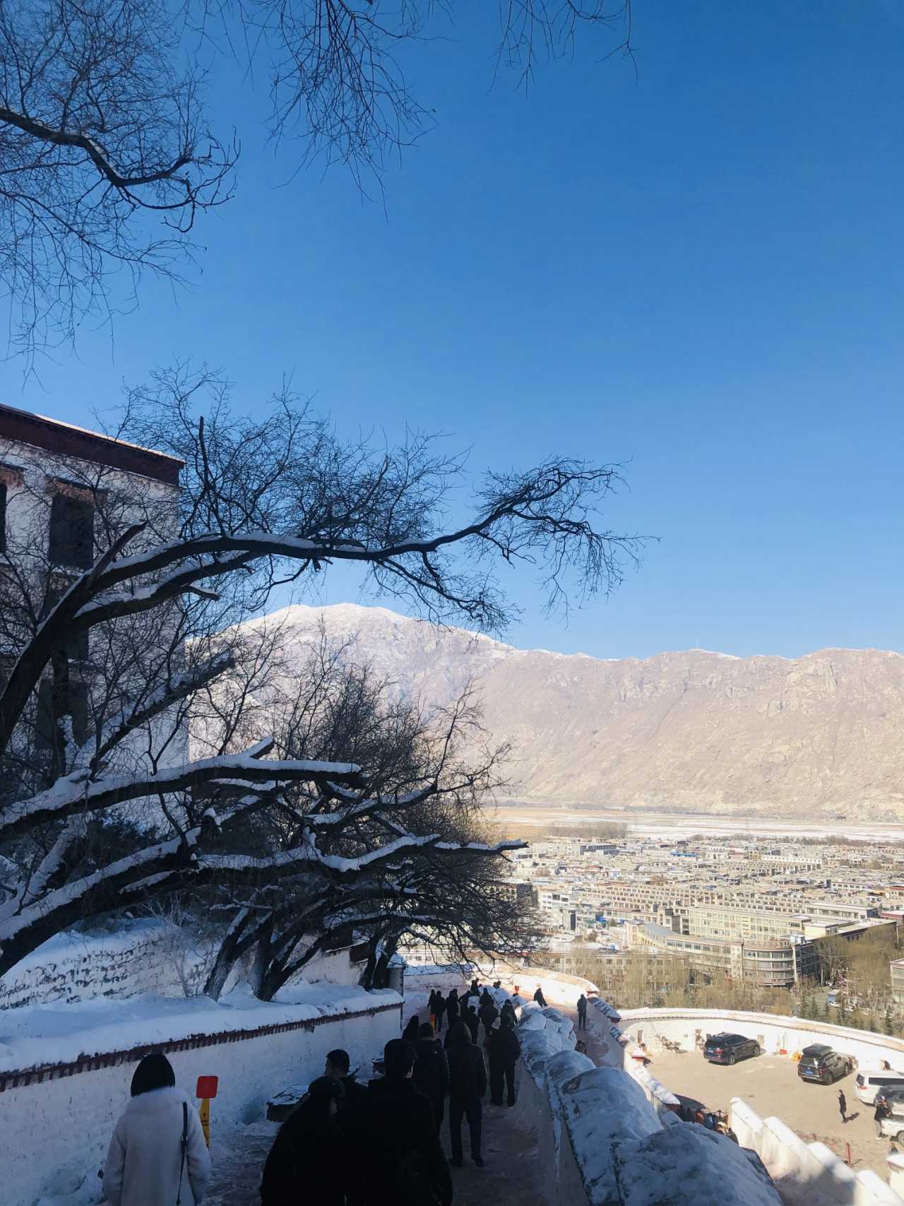 疫情下的上海至拉萨特殊旅程