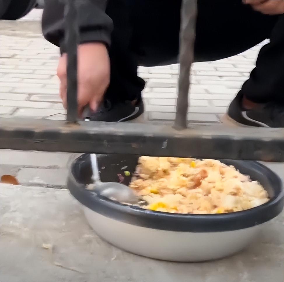 上海疫情防控小组热线，共筑健康防线，心系你我连接。