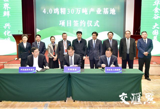 上海与台湾携手合作，共筑健康防线推动疫苗合作进展