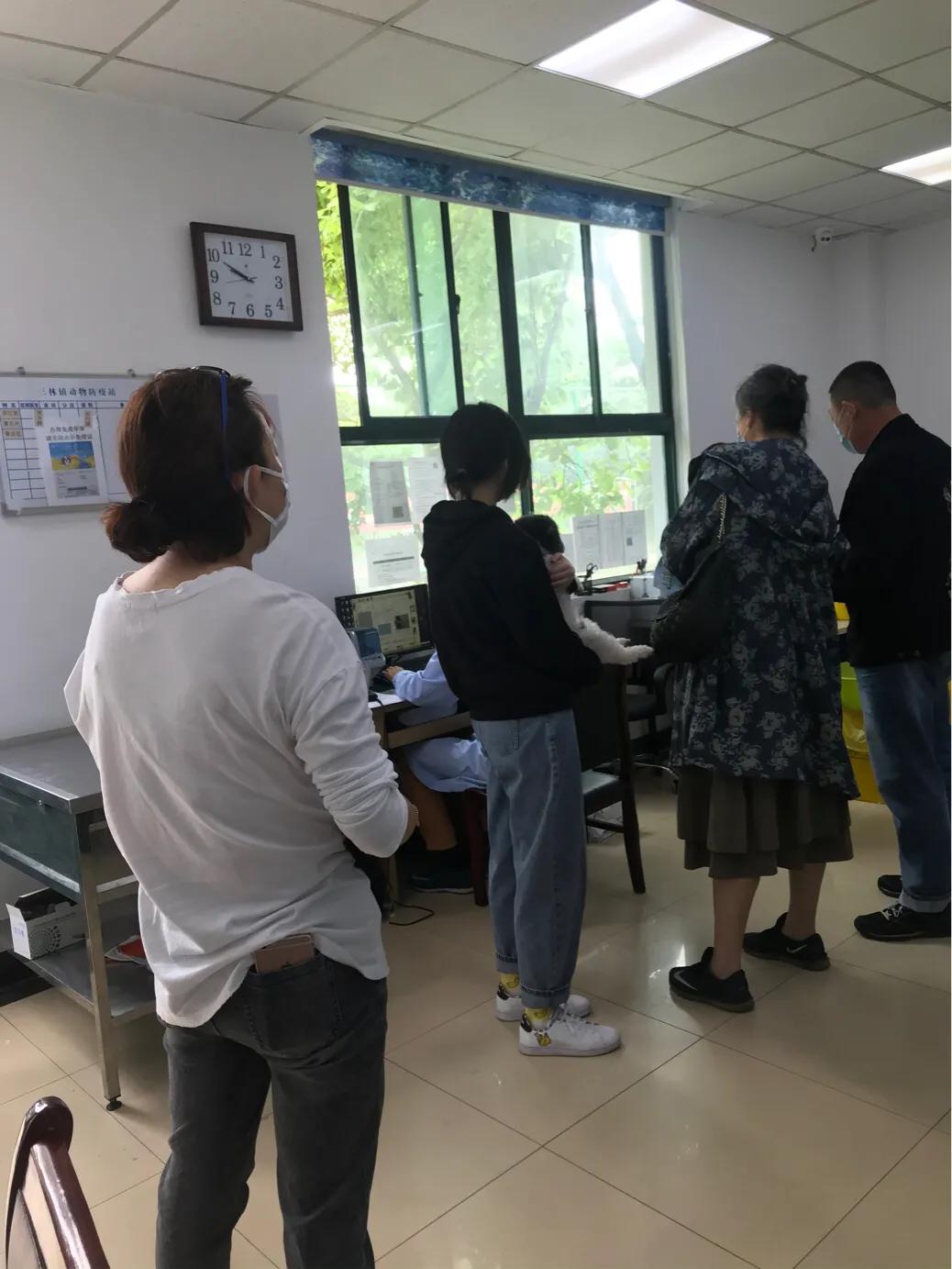 上海疫控,城市力量与人民坚韧共筑防线 上海疫控,城市力量与人民坚韧共筑防线