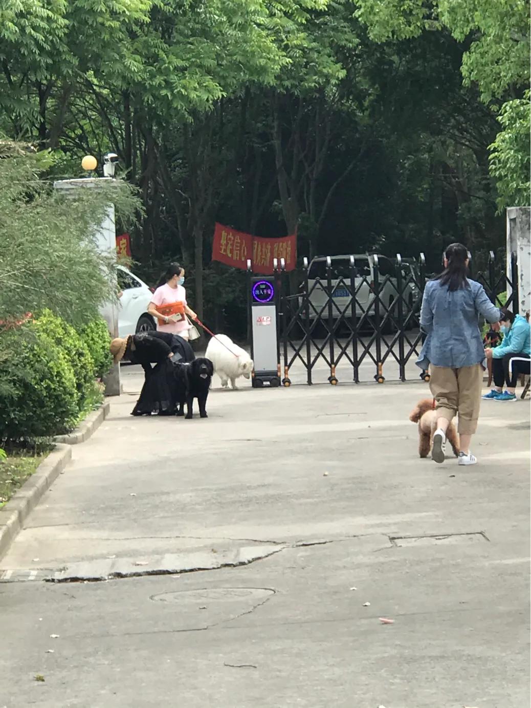 上海疫控,城市力量与人民坚韧共筑防线 上海疫控,城市力量与人民坚韧共筑防线