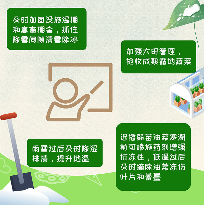 郑州富士康疫情挑战与应对策略