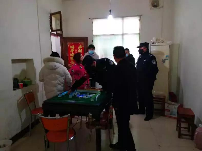 郑州合肥疫情最新动态,城市防控进展与应对策略 郑州合肥疫情最新动态,城市防控进展与应对策略