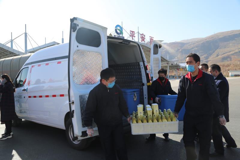 西宁疫情挑战及应对策略